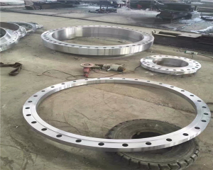 不銹鋼異型法蘭